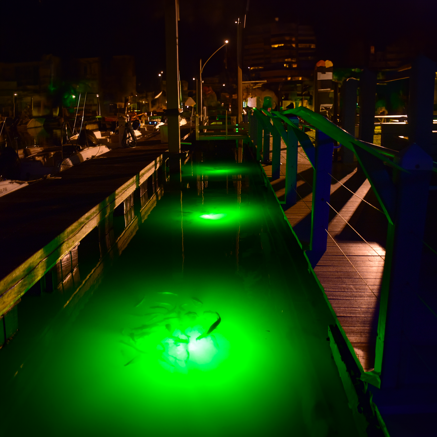 Double Fish Light System