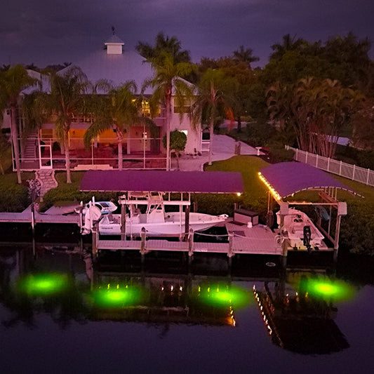 Top Tips for Safe and Productive Night Fishing Using Lights