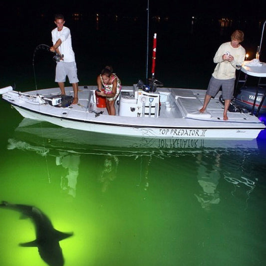 Benefits of Portable HID Lights for Offshore Fishing