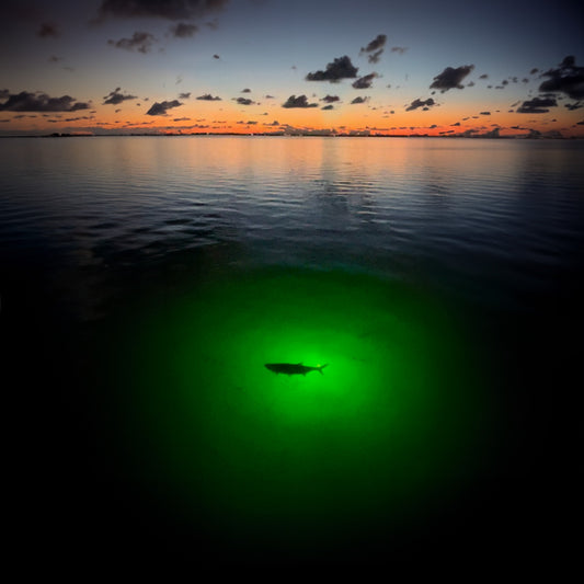 Night Fishing Techniques: How to Use Lights to Attract More Fish
