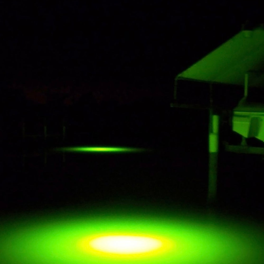 A Guide To Fishing For Snook in Fort Myers – Underwater Fish Light