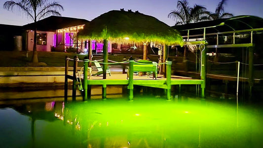 Top Features to Look for in High-Quality Fish Lights for Docks