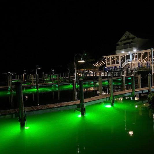 Can I Leave My Fish Light in the Water Year-Round?