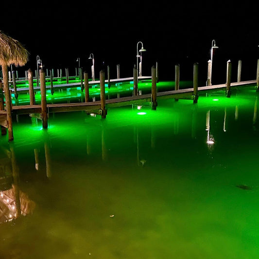 Can You Replace A Bulb On An Underwater Fish Light?