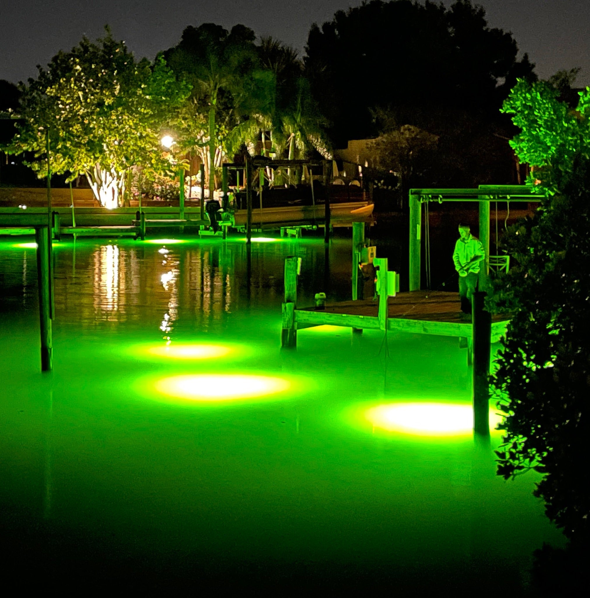 Can You Use Fish Lights in Miami? – Underwater Fish Light