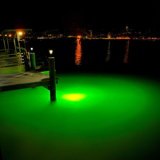 Dock Lighting 101: Choosing the Best Underwater Fish Lights for Your Needs