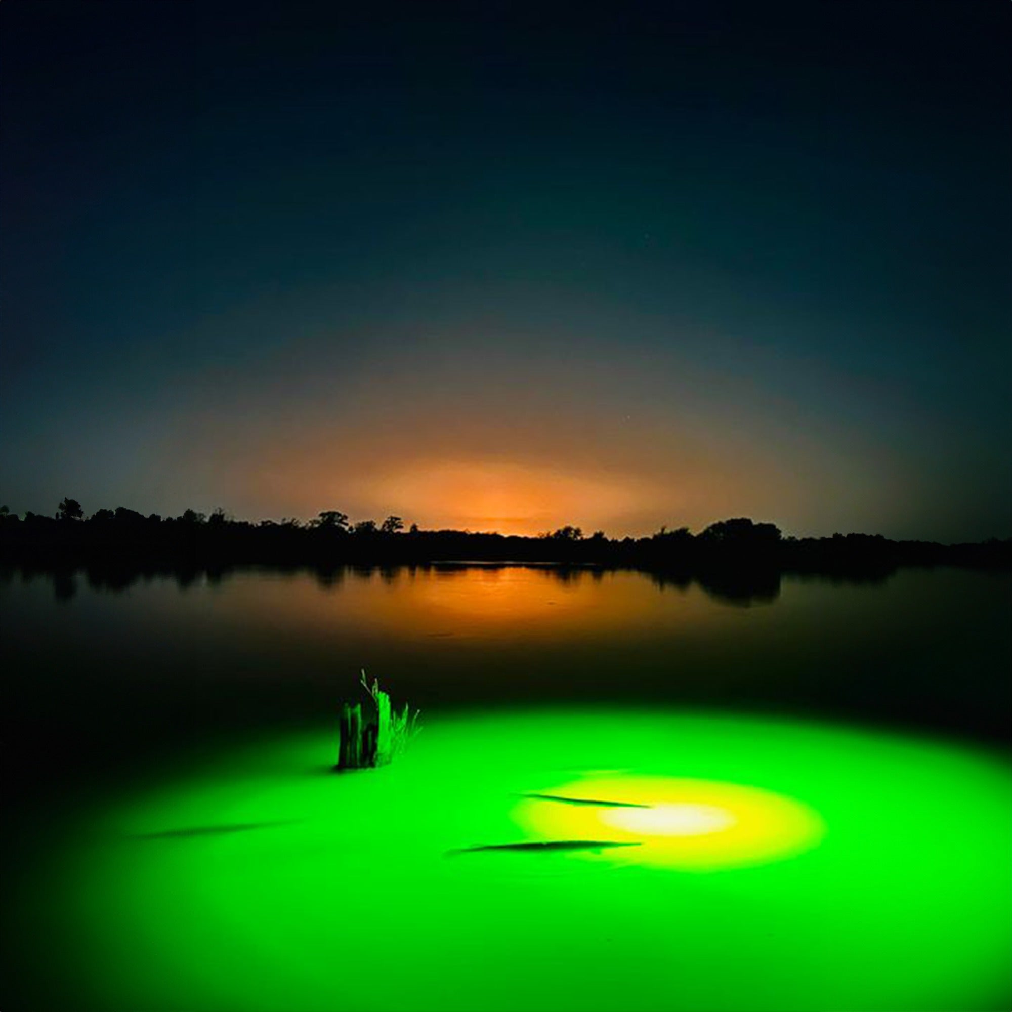 Fish Lights: The Secret to Attracting More Fish to Your Dock ...
