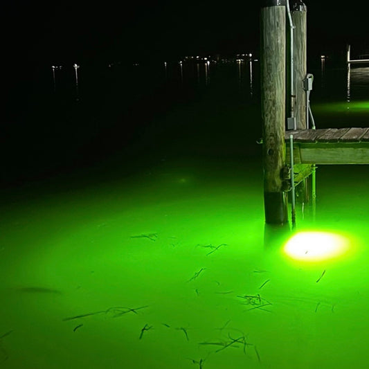 How Can I Protect My Fish Light?
