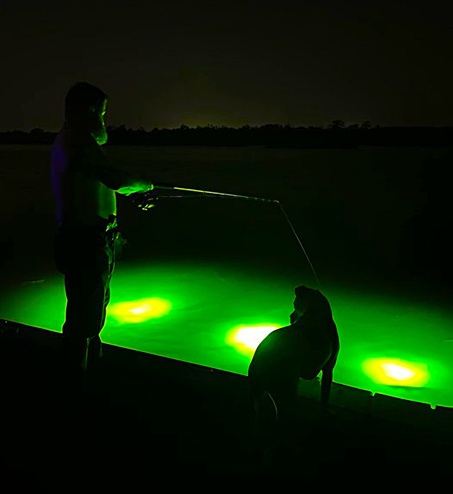 Innovations in Dock Fishing: The Role of Fish Lights in Saltwater Cana ...