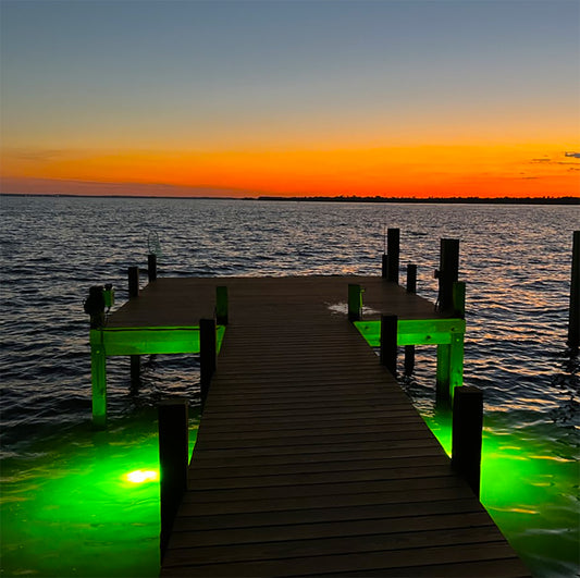 How to Install and Maintain Your Underwater Fish Lights for Maximum Efficiency