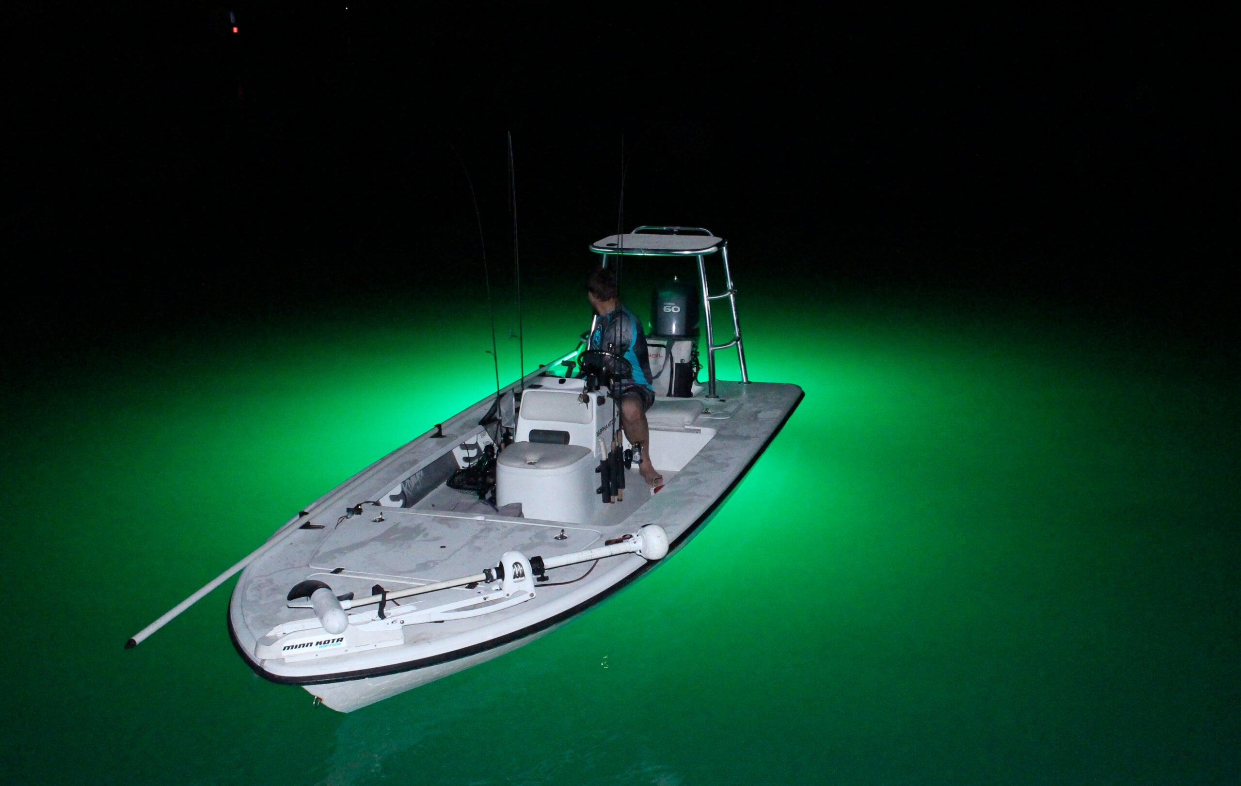 Comparing Underwater Fish Lights: LED vs. HID for Your Fishing Adventu