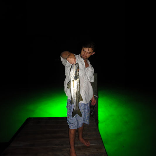 Nighttime Fishing Tips: How to Maximize Your Catch with Underwater Dock Lights