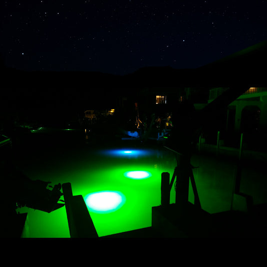 The Science Behind Underwater Fish Lights: Why Fish Are Attracted to Them