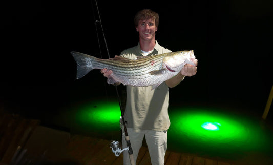 Top 10 Benefits of Installing Dock Lights for Nighttime Fishing
