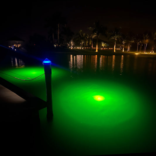 Top 3 Mistakes to Avoid When Installing Underwater Fish Lights
