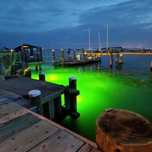 How Water Clarity Affects Underwater Fish Light Performance