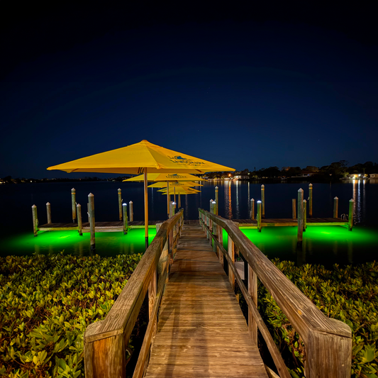 Winterizing Your Underwater Fish Light System