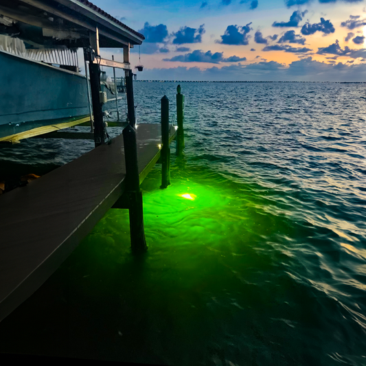 Responsible Lighting: Fish Lights and the Marine Environment