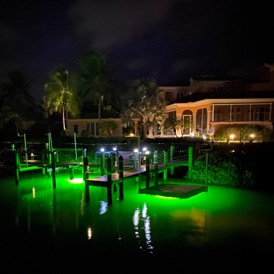 Cleaning Marine Growth From Underwater Fish Lights