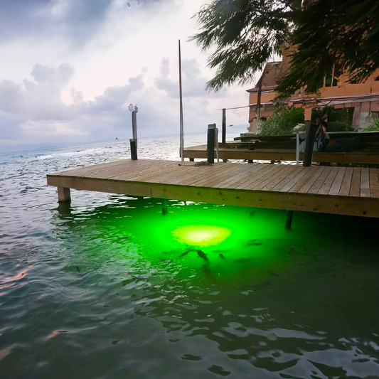 Underwater Fish Light Installation: What Dock Owners Should Know
