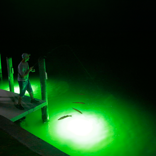 Angler fishing around a lighted dock at night with a green underwater fish light illuminating the water