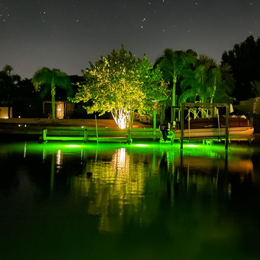What to Expect After Installing Your First Fish Light