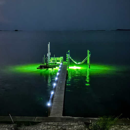 How Underwater Fish Lights Create a Feeding Ecosystem