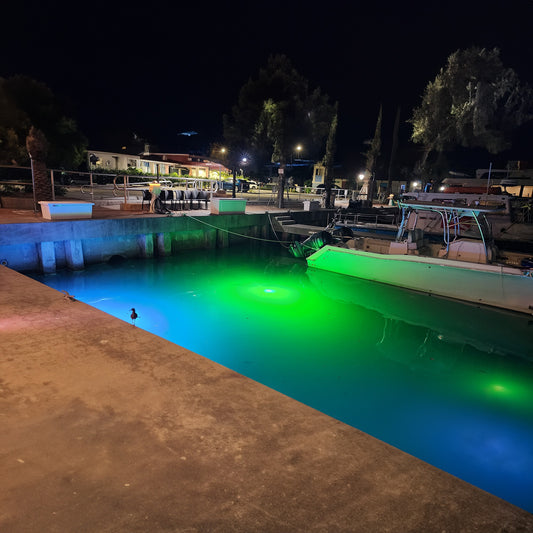 Which FIsh Light is Better; HID or LED?