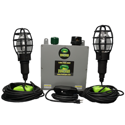 Double Fish Light System