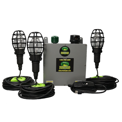 Triple Fish Light System