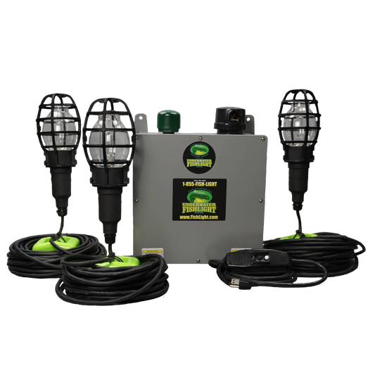 Triple Fish Light System