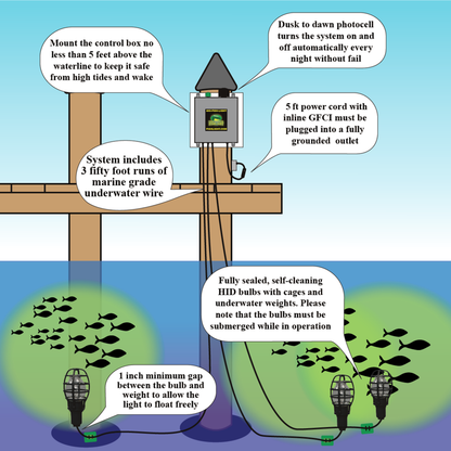 Triple Fish Light System