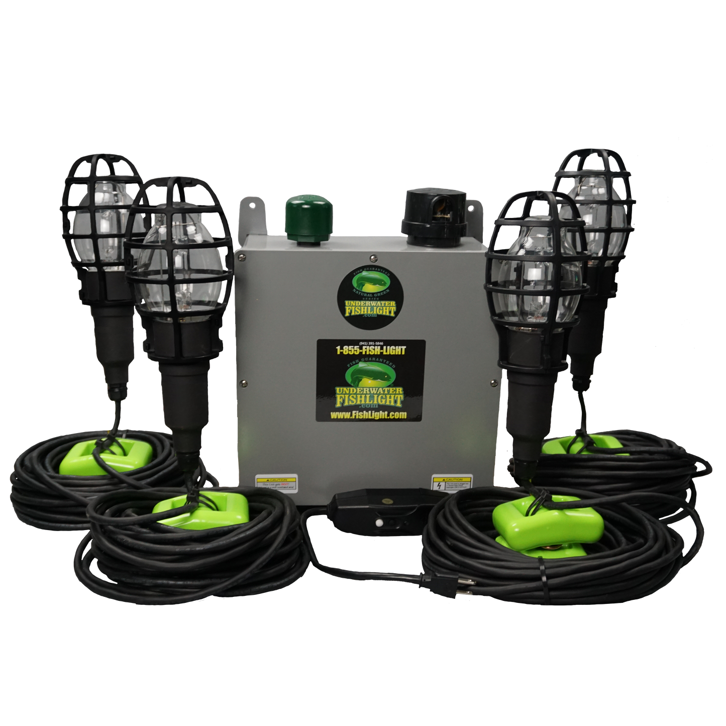 Quad Fish Light System