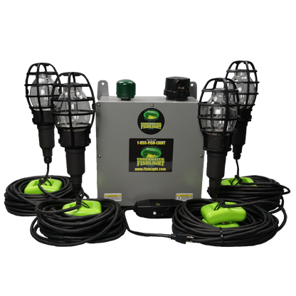 Quad Fish Light System