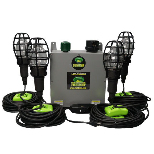 Quad Fish Light System