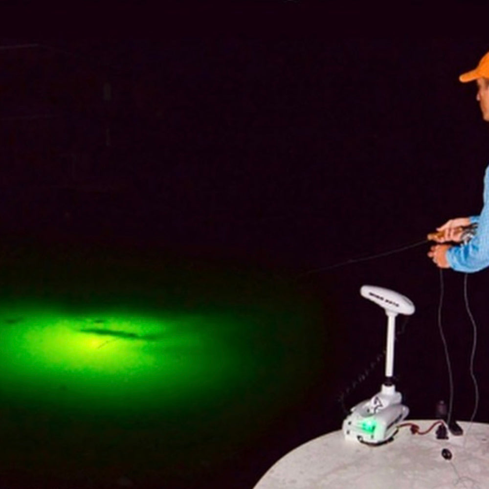 12v LED Fishing Light image 2