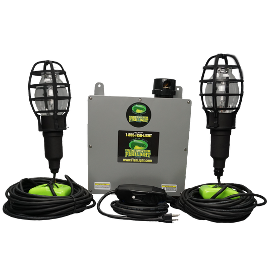 Double Fish Light System