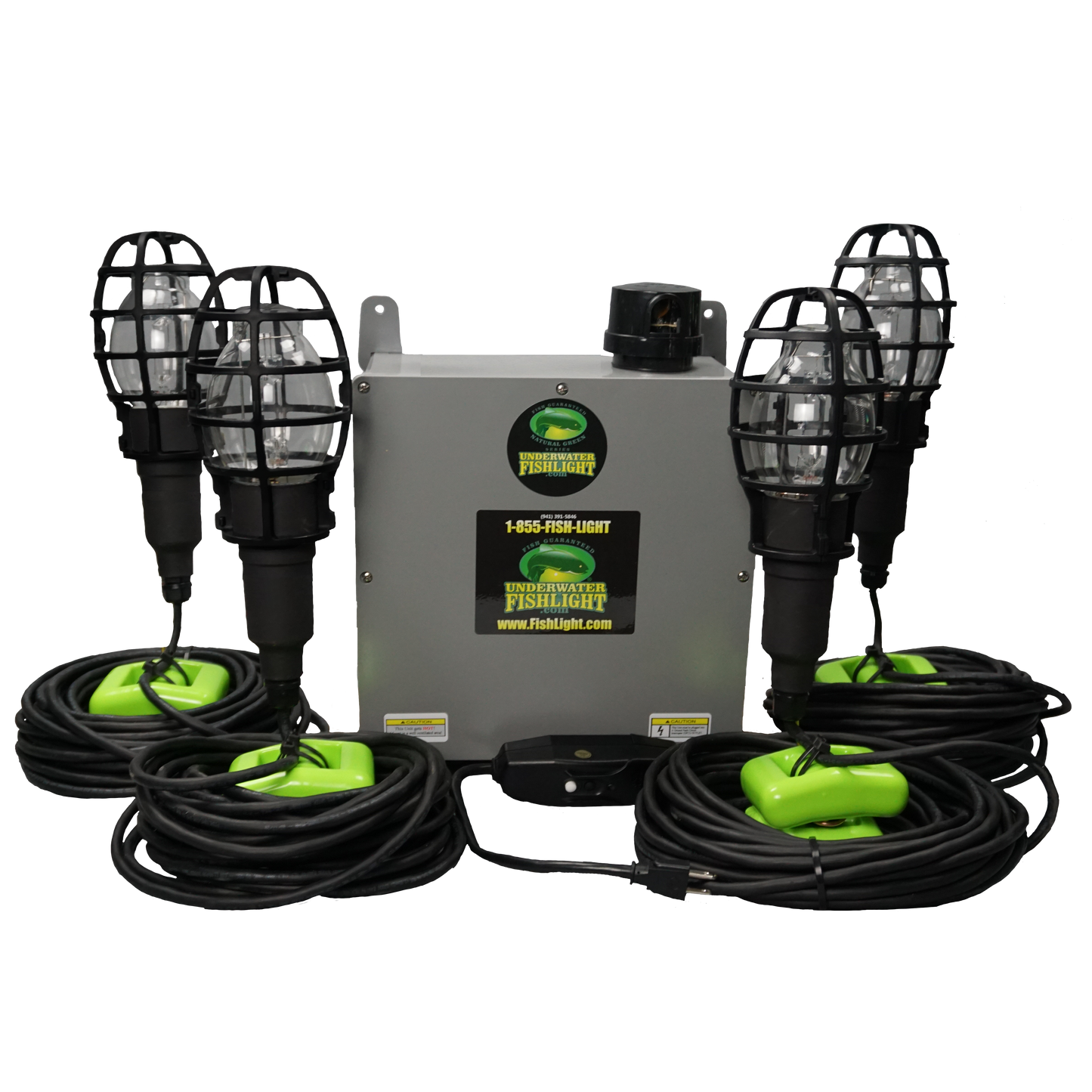 Quad Fish Light System