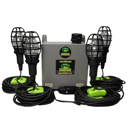 Quad Fish Light System