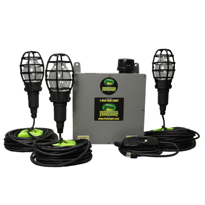 Triple Fish Light System