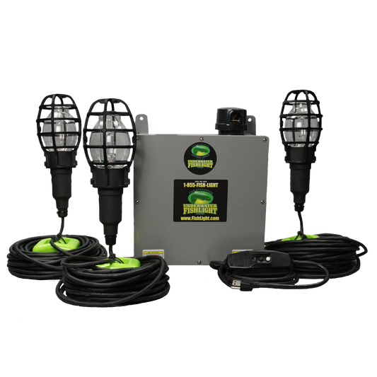 Triple Fish Light System