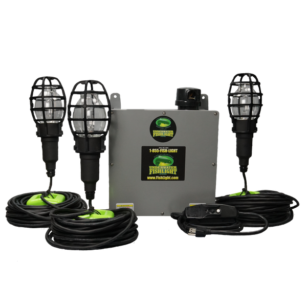 Triple Fish Light System