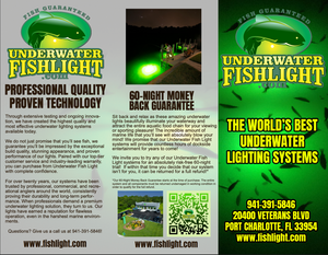 Main Brochure