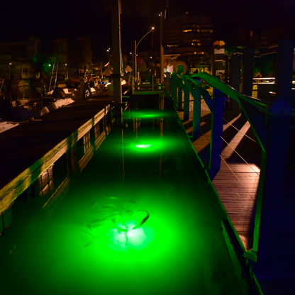 Double Fish Light System