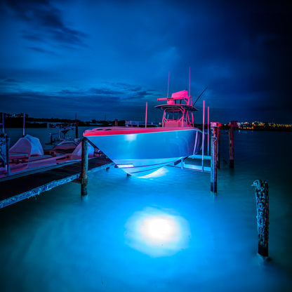 Double Fish Light System