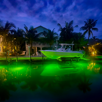 Double Fish Light System