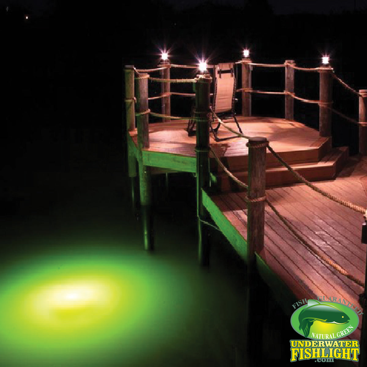 Extra Bright Single <br> Fish Light For Docks image 5
