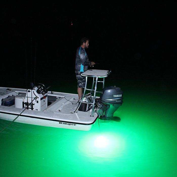 LED Fish Lights