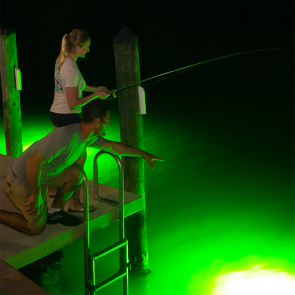 Fishing Accessories