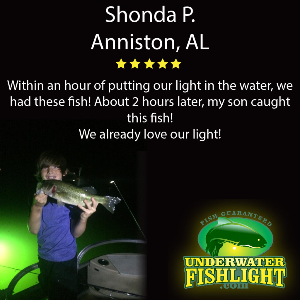 Artboard12 Underwater Fish Light